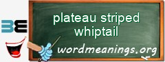 WordMeaning blackboard for plateau striped whiptail